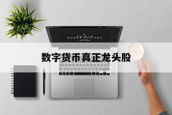 数字货币真正龙头股:(数字货币上市公司龙头)