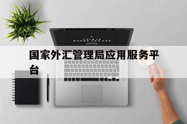 国家外汇管理局应用服务平台:(国家外汇管理平台asone官网)