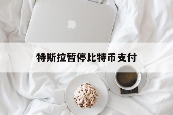 特斯拉暂停比特币支付:(特斯拉币一个多少人民币)