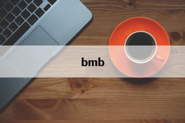 bmb:(bmb网络用语)