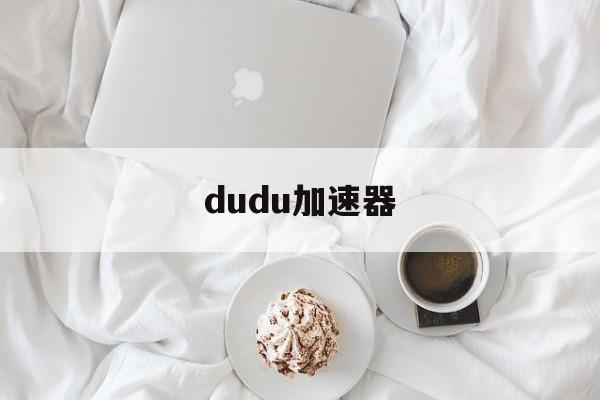 dudu加速器:(小火箭加速器333)