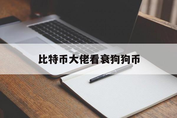 比特币大佬看衰狗狗币:(狗狗币让我赚到了一千万)