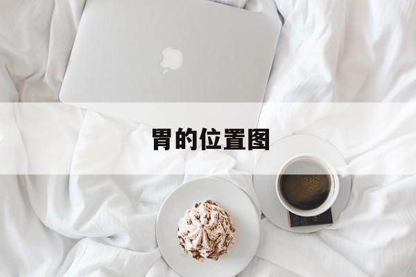 胃的位置图:(胃在哪一边是左边是右边看图)