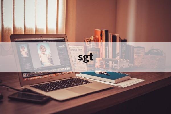 sgt:(sgc是哪个公司)
