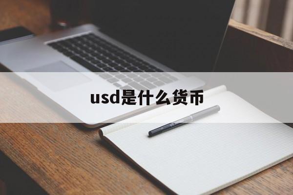 usd是什么货币:(中国唯一认可的虚拟币)