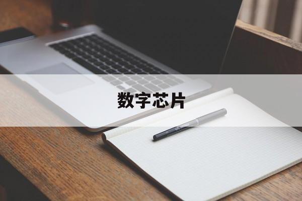 数字芯片:(什么叫ic芯片)