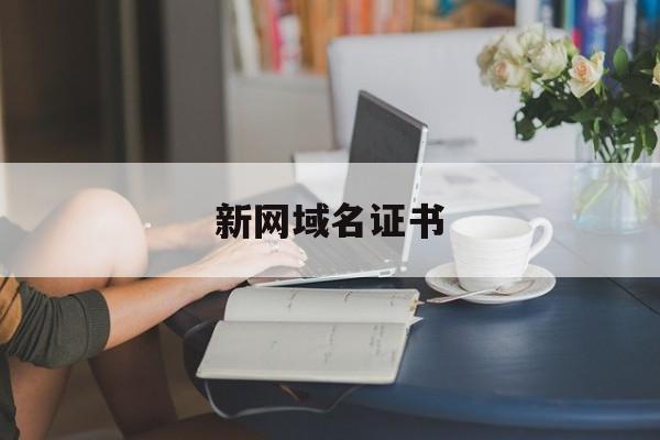 新网域名证书:(https证书)