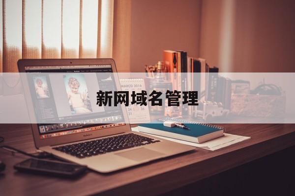 新网域名管理:(域名注册哪个平台比较好)