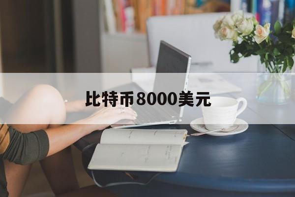 比特币8000美元:(1000枚比特币值多少钱)